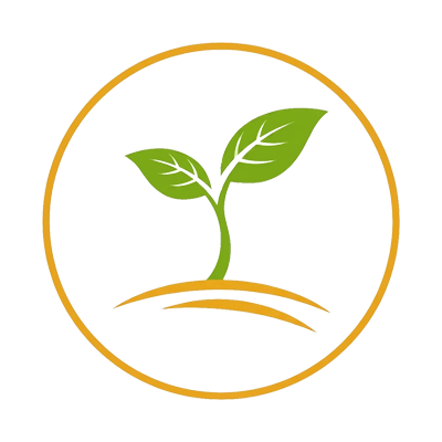 Planta Creciendo 400x400
