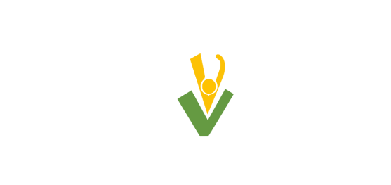 Logo - Nueva Vida