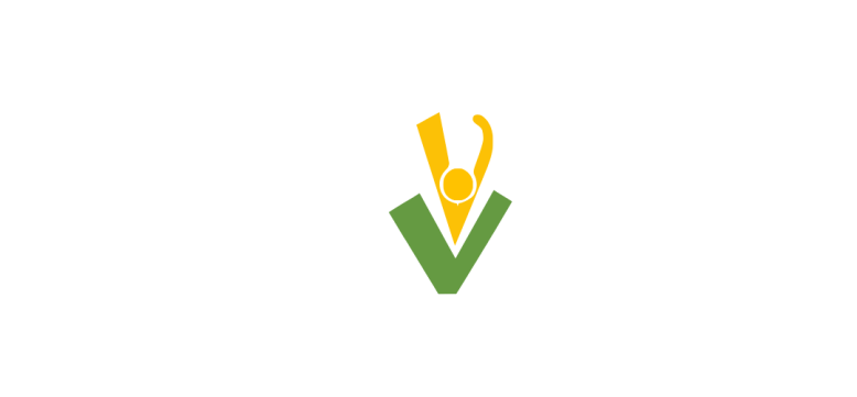 Logo - Nueva Vida